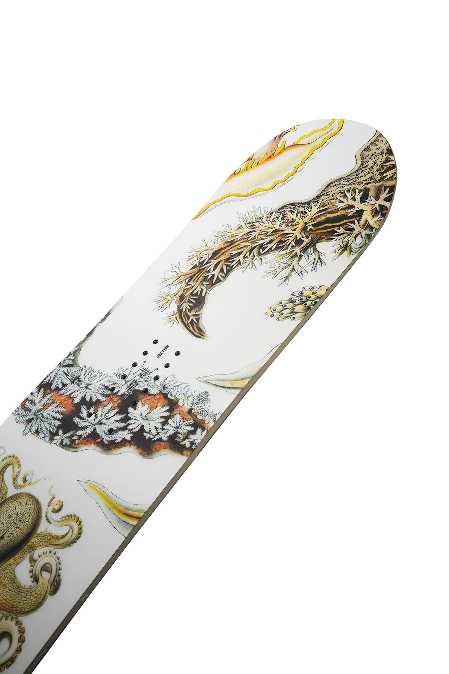 Women's Hell Yes Snowboard