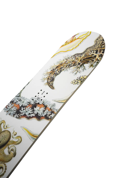 Women's Hell Yes Snowboard